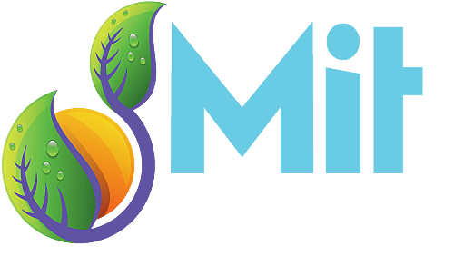 Mit Therapy