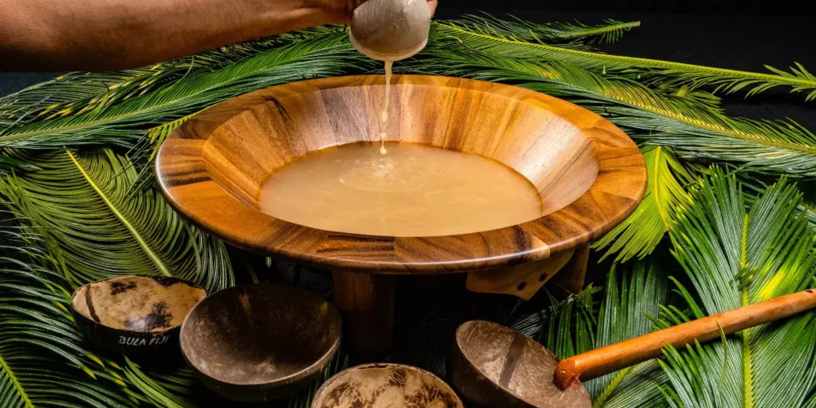 What is Kava? Benefits, Uses, and How It Works