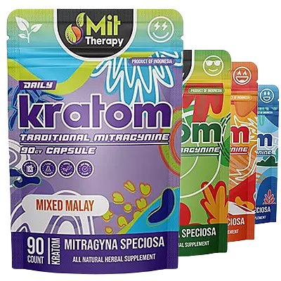 *MIT Therapy Traditional Capsules* *MIT Therapy Traditional Capsules*